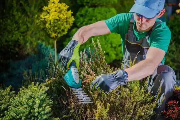 landscaping services Adairville